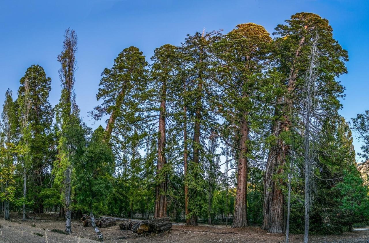 La Noguera Casa Rural Huéscar المظهر الخارجي الصورة